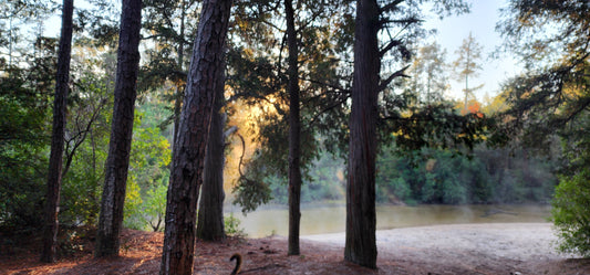 Finding Gratitude in the Great Outdoors: How Overlanding and Camping Heal the Soul