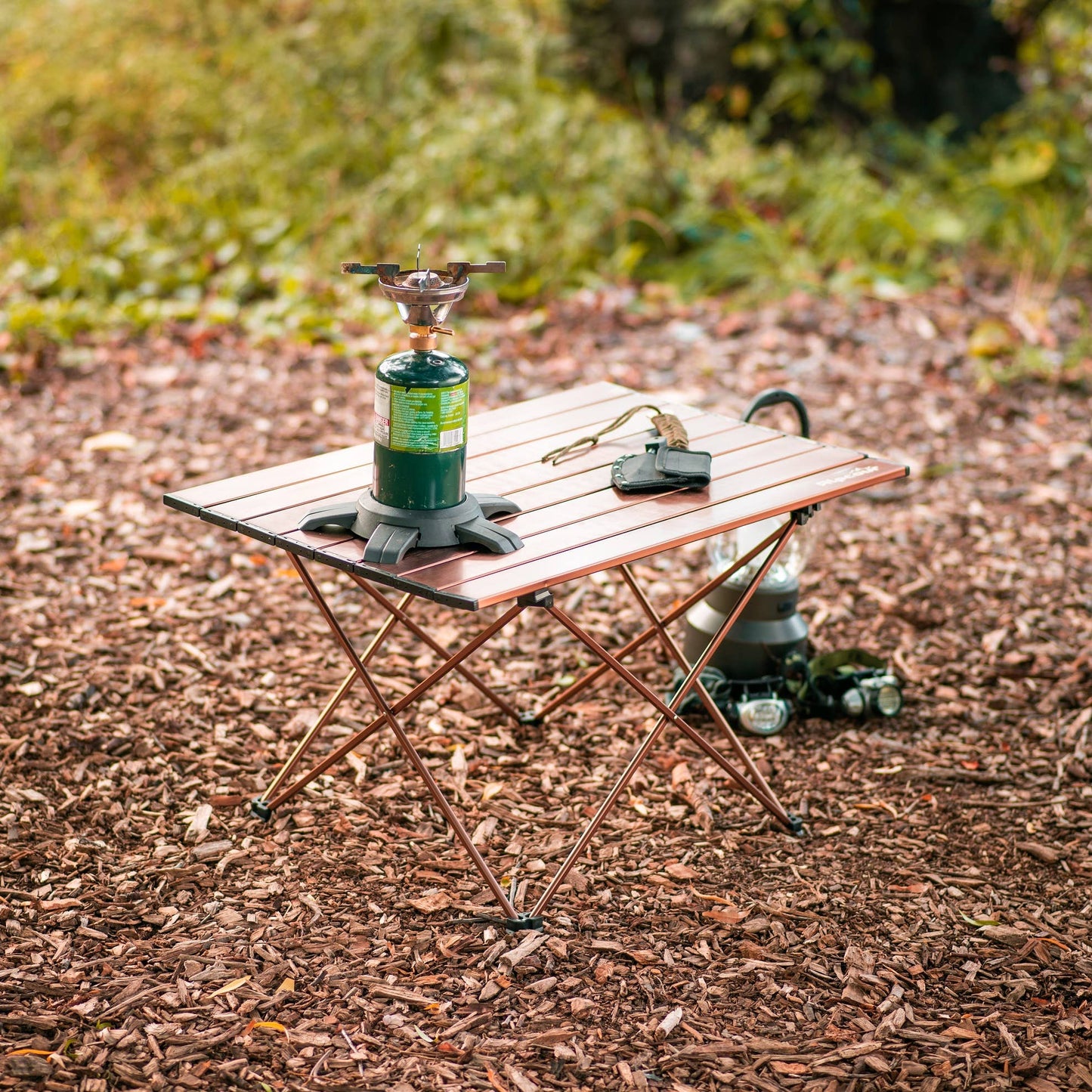 Alpcour Portable Collapsible Camping Table