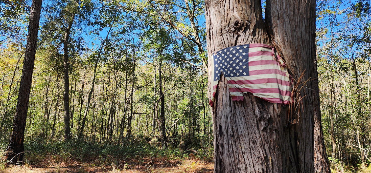 A tattered American flag stuck to a tree in the woods