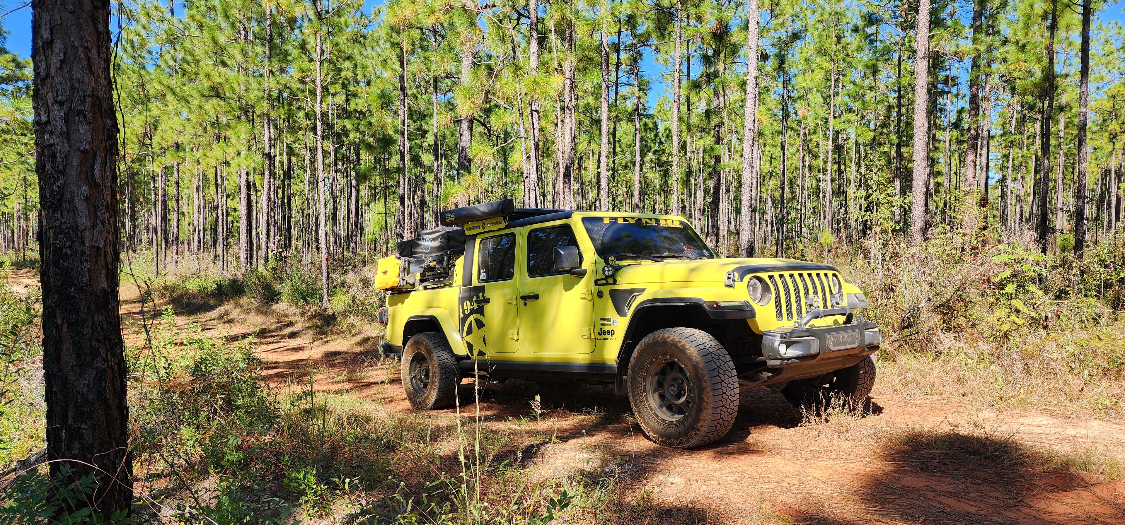 Overlanded Yellow Jeep Gladiator driving through a Pine forest