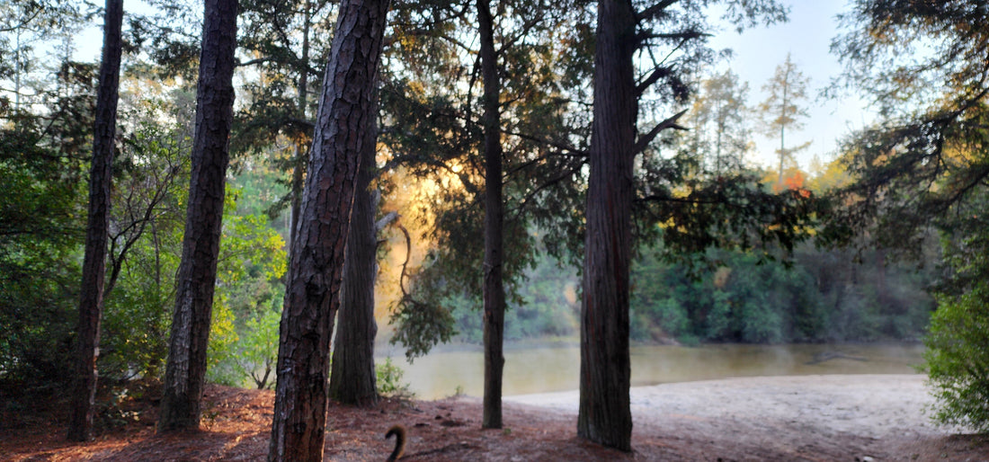 Finding Gratitude in the Great Outdoors: How Overlanding and Camping Heal the Soul